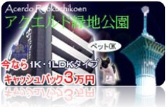 �ߌ���ΐV�z���݃}���V�����A�N�G���h�Βn����